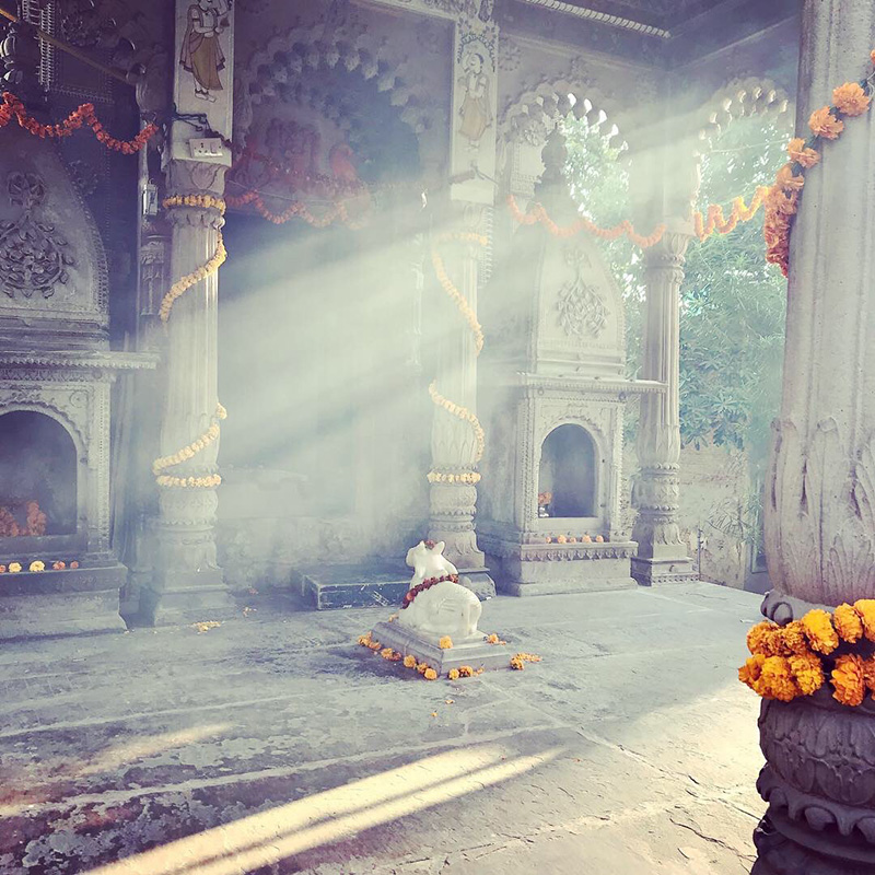 F165EA61-7584-4687-AD96-F760EB3B188F